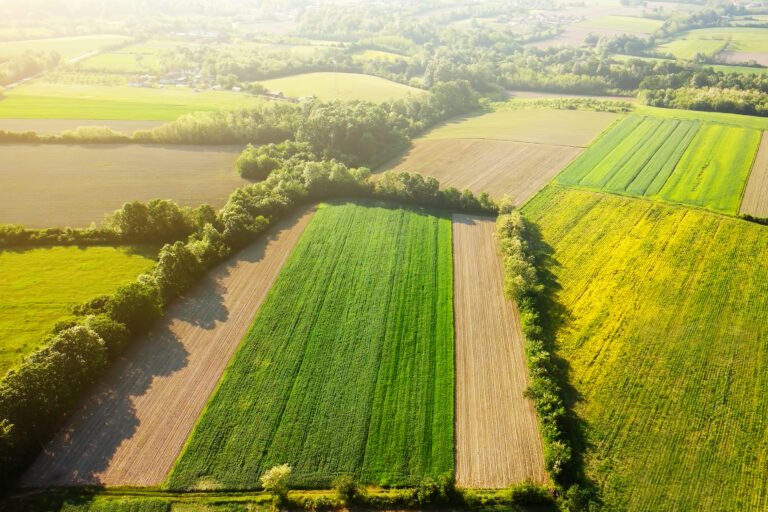 Aerial european countryside landscape at sunset. Drone point view of agricultural fields, roads, copses. Rural area.
