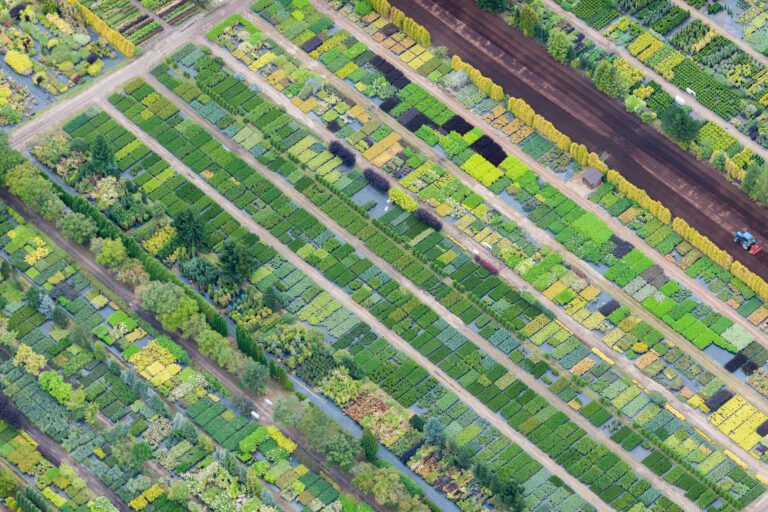 aerial-view-over-the-plant-and-tree-nursery-2026-03-26-02-18-45-utc