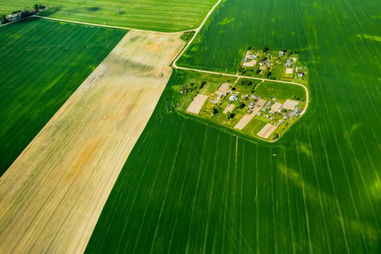 top view of a sown green field and a small village in Belarus. Agricultural fields in the village.Spring sowing in a small village.